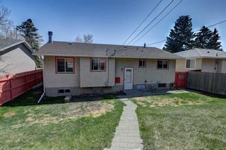 Photo 44: 7131 8 Street NW in Calgary: Huntington Hills Detached for sale : MLS®# A2042850