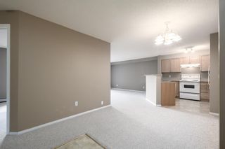 Photo 5: 5206 604 8 Street SW: Airdrie Apartment for sale : MLS®# A1237957
