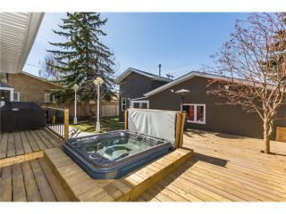 Photo 40: 12439 LAKE FRASER Way SE in Calgary: Lake Bonavista House for sale : MLS®# C4058715