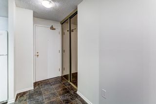 Photo 4: 4E 133 25 Avenue SW in Calgary: Mission Apartment for sale : MLS®# A2085043