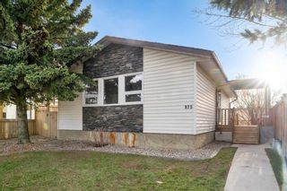 Photo 4: 975 Pinecliff Drive NE in Calgary: Pineridge Detached for sale : MLS®# A2126567
