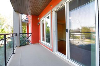 Photo 21: 203 117 19 Avenue NE in Calgary: Tuxedo Park Apartment for sale : MLS®# A2004116