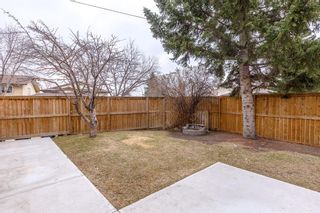 Photo 14: 172 Berkshire Close NW in Calgary: Beddington Heights Detached for sale : MLS®# A1092529