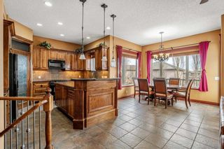 Photo 11: 32 Royal Road NW in Calgary: Royal Oak Detached for sale : MLS®# A2120322
