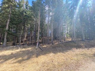 Photo 1: 176 Wood frog Way Way: Rural Mountain View County Residential Land for sale : MLS®# A2121011
