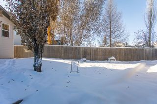 Photo 39: 45 Lyons Close: Red Deer Detached for sale : MLS®# A2011081