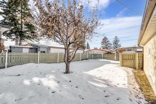 Photo 15: 1523 47 Street SE in Calgary: Forest Lawn Detached for sale : MLS®# A2020953