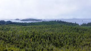 Photo 33: 12 Uplands Way: Ucluelet Land for sale : MLS®# 910942