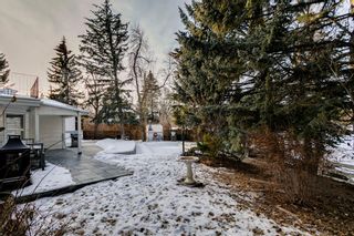 Photo 45: 404 Wilderness Place SE in Calgary: Willow Park Detached for sale : MLS®# A2017350