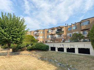Photo 1: 44 11900 228 Street in Maple Ridge: East Central Condo for sale : MLS®# R2729816