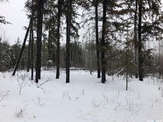 Photo 29: Recreational Land North-East of White Fox in Torch River: Lot/Land for sale (Torch River Rm No. 488)  : MLS®# SK909033