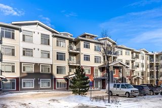 Photo 26: 411 28 Auburn Bay Link SE in Calgary: Auburn Bay Apartment for sale : MLS®# A2015310