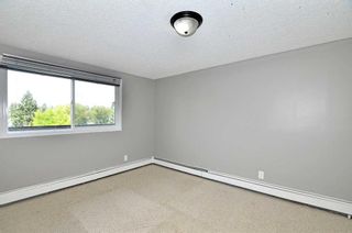 Photo 5: 306 280 Banister Drive: Okotoks Apartment for sale : MLS®# A2123221