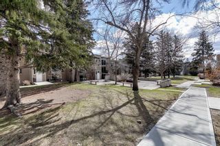 Photo 33: 304 315 Heritage Drive SE in Calgary: Acadia Apartment for sale : MLS®# A2124299
