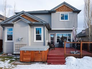 Photo 41: 41 Royal Birch Way NW in Calgary: Royal Oak Detached for sale : MLS®# A1173707