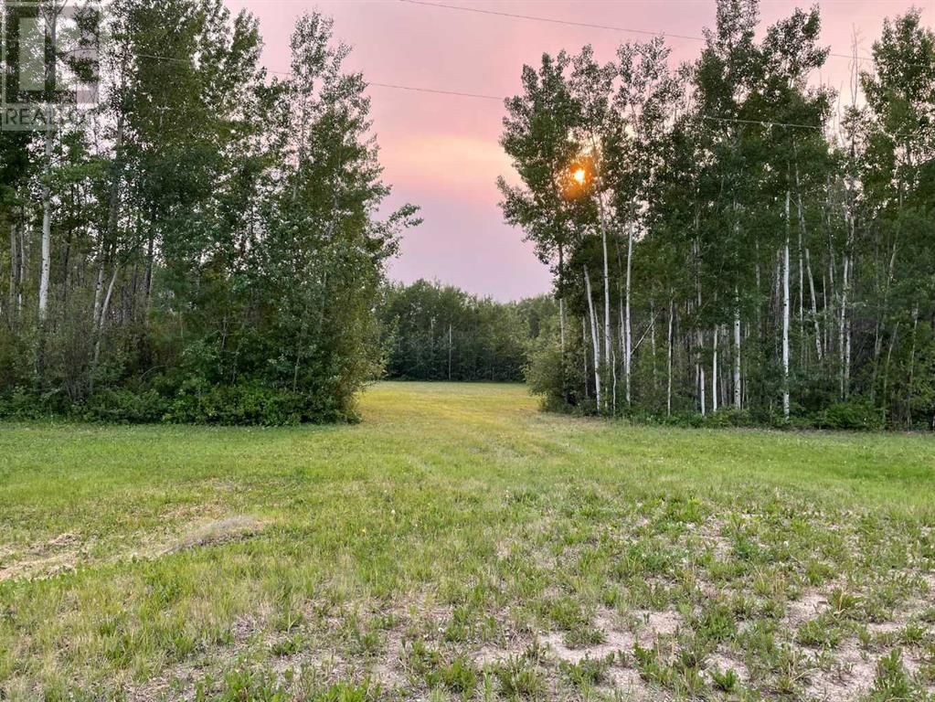 Main Photo: Lot #3 in Rural Mackenzie County: Vacant Land for sale : MLS®# A2057592