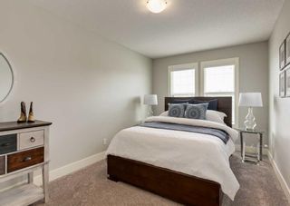 Photo 37: 222 Nolan Hill Boulevard NW in Calgary: Nolan Hill Detached for sale : MLS®# A2056784