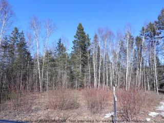 Photo 6: Lot 16 /17 Augsburger Street in Victoria Harbour: 404-Kings County Vacant Land for sale (Annapolis Valley)  : MLS®# 201902462