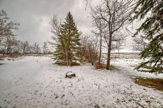 Photo 12: 200 274007 8 Street E: Rural Foothills County Detached for sale : MLS®# A2123807