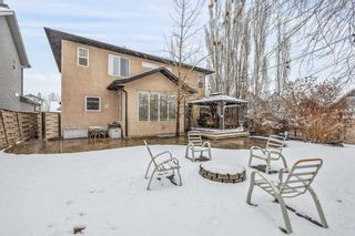 Photo 4: 59 Elgin Park Road SE in Calgary: McKenzie Towne Detached for sale : MLS®# A2120525