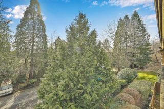 Photo 25: 316 14945 100TH Avenue in Surrey: Guildford Condo for sale in "Forest Manor" (North Surrey)  : MLS®# R2854041