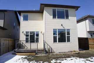 Photo 32: 1217 Brightoncrest Common SE in Calgary: New Brighton Detached for sale : MLS®# A2120372