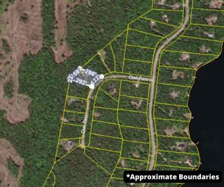 Photo 33: 38 Owl Pass in Vaughan: Hants County Residential for sale (Annapolis Valley)  : MLS®# 202402316