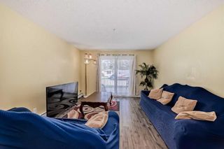 Photo 12: 2108 6224 17 Avenue SE in Calgary: Red Carpet Apartment for sale : MLS®# A2134135