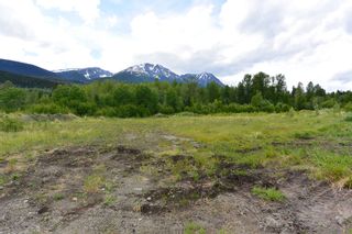 Photo 5: 4556 SIMCOE LOOP Road in Smithers: Smithers - Rural Land for sale (Smithers And Area)  : MLS®# R2795889