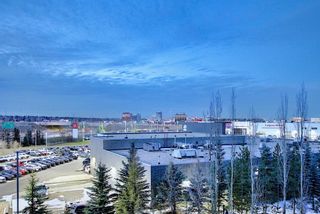 Photo 19: 4314 11811 LAKE FRASER Drive SE in Calgary: Lake Bonavista Apartment for sale : MLS®# A1048728