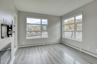 Photo 9: 214 515 4 Avenue NE in Calgary: Bridgeland/Riverside Apartment for sale : MLS®# A2122605