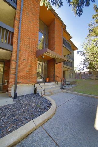 Photo 5: 308B 7301 4A Street SW in Calgary: Kingsland Apartment for sale : MLS®# A1223736