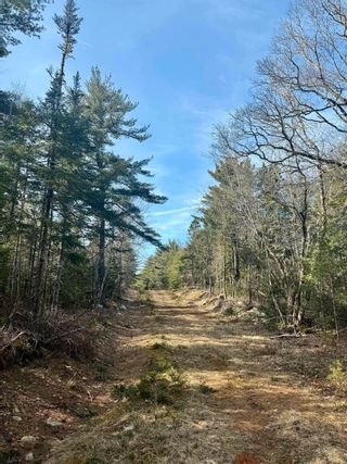Photo 2: New Grafton Road in New Grafton: 406-Queens County Vacant Land for sale (South Shore)  : MLS®# 202406944