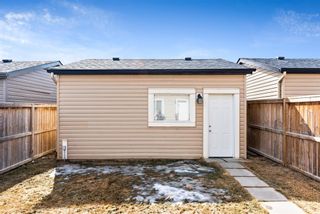 Photo 27: 20 SKYVIEW POINT Heath NE in Calgary: Skyview Ranch Semi Detached for sale : MLS®# A1088927