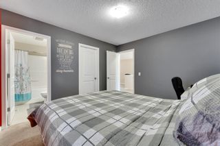 Photo 31: 64 Skyview Point Terrace in Calgary: Skyview Ranch Detached for sale : MLS®# A2031835
