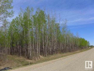 Photo 15: 50 Ave RR 281: Rural Wetaskiwin County Rural Land/Vacant Lot for sale : MLS®# E4299520