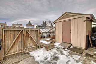Photo 25: 909 Erin Woods Drive SE in Calgary: Erin Woods Detached for sale : MLS®# A2104195