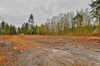 Photo 13: 13170 57 Avenue in Surrey: Panorama Ridge Land for sale : MLS®# R2139447