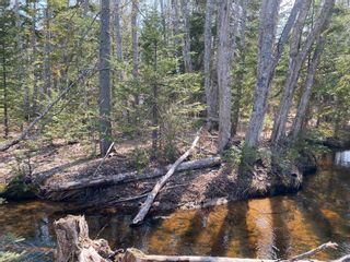 Photo 7: Lot 22 Lakeside Drive in Little Harbour: 108-Rural Pictou County Vacant Land for sale (Northern Region)  : MLS®# 202207910