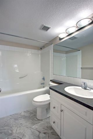 Photo 17: 405 2000 Applevillage Court SE in Calgary: Applewood Park Apartment for sale : MLS®# A1244154