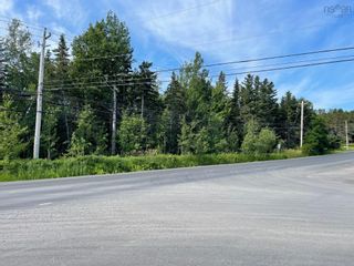 Photo 3: 3008 Highway 376 in Haliburton: 108-Rural Pictou County Vacant Land for sale (Northern Region)  : MLS®# 202220213