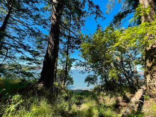 Photo 4: 723 TUMBO CHANNEL Road: Saturna Island Land for sale in "EastPoint Ocean Cottages" (Islands-Van. & Gulf)  : MLS®# R2703851