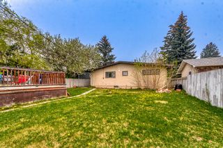 Photo 27: 4431 Dalhart Road NW in Calgary: Dalhousie Detached for sale : MLS®# A2050189