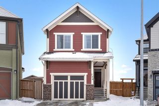 Photo 1: 208 Masters Crescent SE in Calgary: Mahogany Detached for sale : MLS®# A1170105