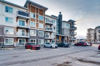 Photo 37: 3312 302 Skyview Ranch Drive NE in Calgary: Skyview Ranch Apartment for sale : MLS®# A2043608