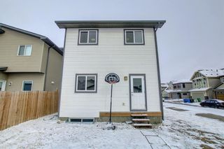 Photo 39: 57 copperpond Avenue SE in Calgary: Copperfield Detached for sale : MLS®# A1198749
