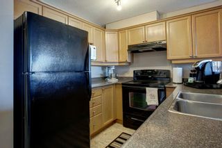 Photo 13: 303 1833 11 Avenue SW in Calgary: Sunalta Apartment for sale : MLS®# A2002774