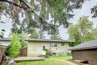 Photo 43: 115 Silver Brook Road NW in Calgary: Silver Springs Detached for sale : MLS®# A1227578