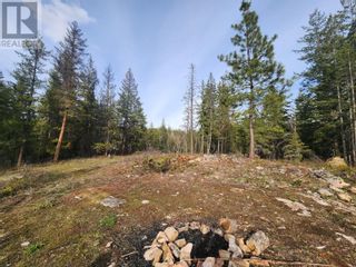 Photo 26: 712 Grange Road in Enderby: Vacant Land for sale : MLS®# 10310045