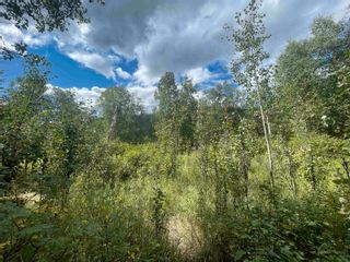 Photo 6: LOT 16 HUDSON BAY MOUNTAIN Road in Smithers: Smithers - Rural Land for sale (Smithers And Area)  : MLS®# R2810051